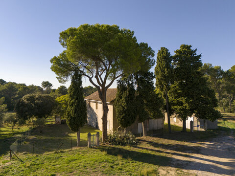 Aerial view of a sun-drenched building nestled among verdant trees casting long shadows across the landscape, Saint-R&Atilde;&copy;my-de-Provence, Provence-Alpes-C&Atilde;&acute;te d'Azur, France.