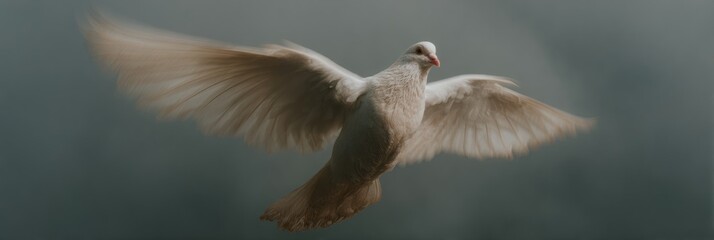 Obraz premium Premium Holy Spirit Monday Phoenix Bird with Wingspan for Modern Pentecost Season Campaigns Featuring Inspiring Spiritual Rebirth and Summer Festival Marketing