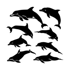 Fototapeta premium Dolphin Silhouette Set Clipart on White Background