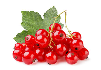 Pile of red currants with a leaf close-up on a white background. Isolated