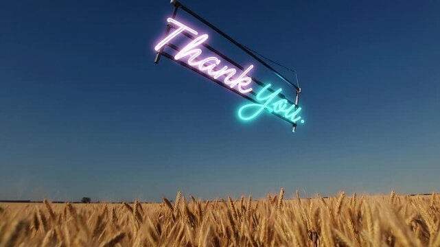 Enseigne n&eacute;on "Thank You" flottant au-dessus d&rsquo;un champ de bl&eacute;