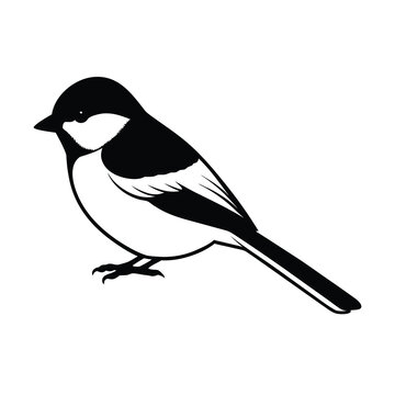 capped chickadee silhouette vector