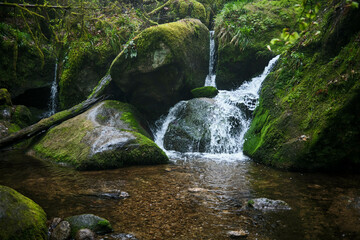 A small, serene waterfall flows over moss-covered rocks in a lush forest setting. Black Forest, Germany