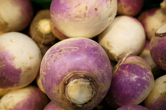 Close-up of fresh purple and white turnips piled together.