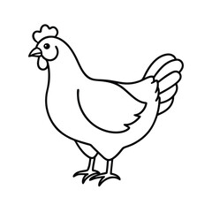 vector illustration of a chicken