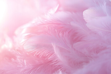 Beautiful light pink background with a soft feather texture, pink color, pastel pink color, pink background, pink wallpaper, soft feather pattern, light pink background for design, pink background.