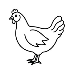 farm chicken line art vector illustration