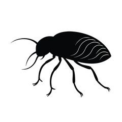 flea silhouette vector illustration