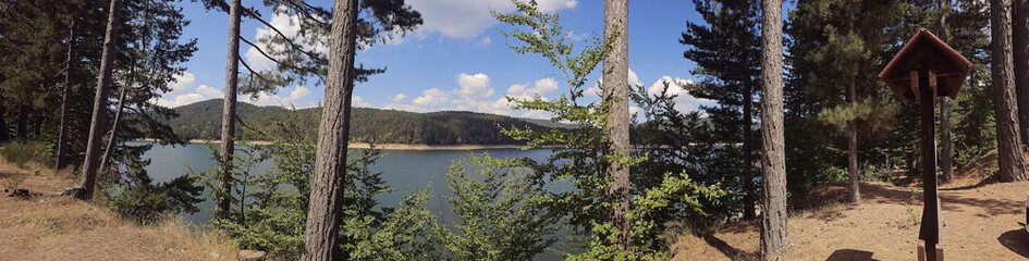 Lake Panorama through Pines
