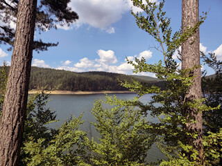 Lake and Forest View
