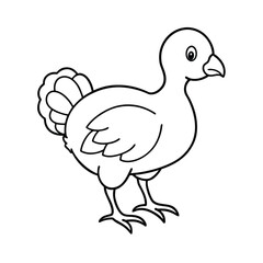 outlined baby turkey chick line art vector sketch