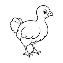 outlined baby turkey chick line art vector sketch