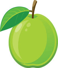 green apple vector illustration