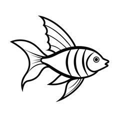 fish on a white background
