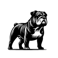 Fierce Bulldog Vector Illustration – Strong and Stylized Dog Artwork