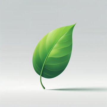 https://chatgpt.com/g/g-TSbtcZKXq-stock-photo-assistant/c/68677716-d9e0-8013-9b69-df13357c6b4c#:~:text=Single%20green%20leaf%20realistic%20style%20on%20light%20background