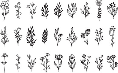 Floral Leaf Doodle Set, Botanical Hand Drawn Elements, Nature Sketch, Outline Plant Collection, Black and White Vector, Transparent Background