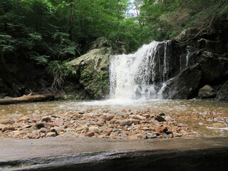 scenic waterfall in the woods