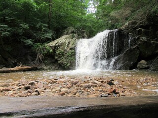 waterfall in the woods with stones and rocks