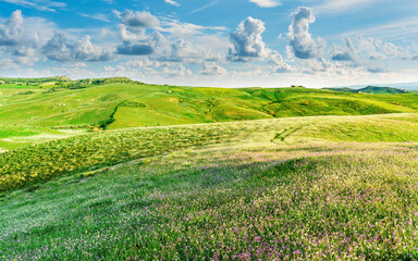 beautiful green evening meadow with bloom flowering field during amazing spring sunset among hills...