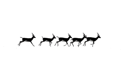 Silhouette of Blackbuck Antelope Herd Running in a Row on White Background, Graceful Blackbuck Antelope Pack in Motion, Isolated Against Plain Backdrop