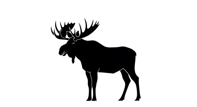 Elegant Silhouette of a Majestic Moose Standing Proudly on a White Background, Striking Black and White Moose Illustration for Creative Wildlife Designs