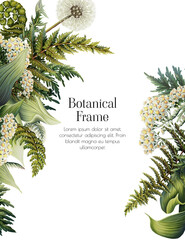 Elegant frame of green forest leaves. Illustration template with green leaves and dandelion, yarrow. Leafy print for card. Botanical invitation with green plants and fern