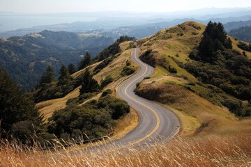 Bay Area Road. Scenic Drive on Mt. Tamalpais in Marin County, California