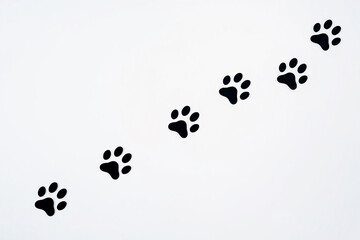 Six black paw prints in a diagonal line on a white background