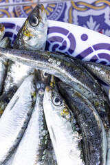 Fresh sardines resting on decorative plate, ready for culinary delights