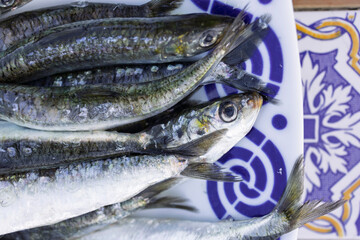 Fresh sardines resting on decorative plate, ready for grilling