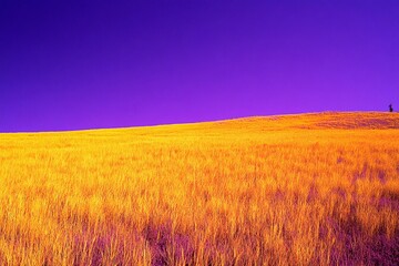Bright yellow meadow under a striking purple sky showcases nature's vivid colors at sunrise