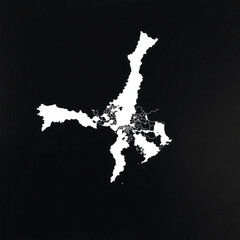 A detailed white map of a region with intricate borders on a solid black background in high contrast