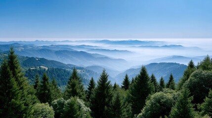 Fototapeta premium Serene Mountain Landscape with Lush Forest and Foggy Horizon View