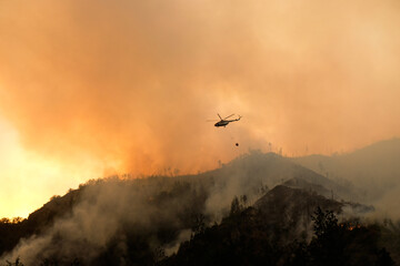Helicopter Drops Water on Wildfire in Mountain Forest