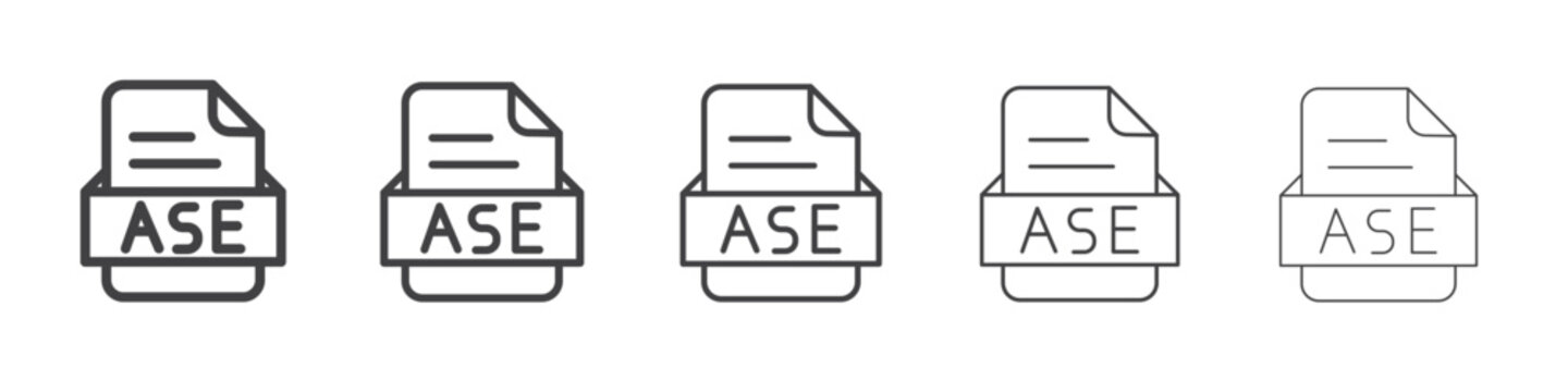 ASE File Document Icon Line graphics illustration symbol