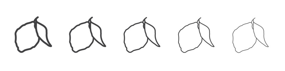 bergamot icon Line graphics illustration symbol