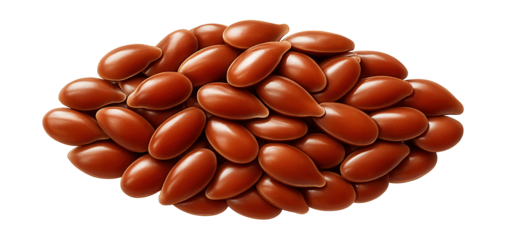 Flaxseed with smooth, shiny, reddish-brown coat