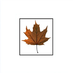 A single falling leaf inside a square Vector illustration. isolated on white background, detailed, high resolution, professional photograph - generated AI