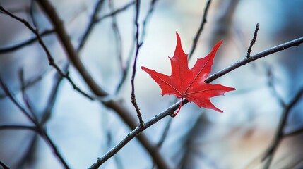 A bare tree with a single leaf remaining highly detailed with sharp focus - generated AI