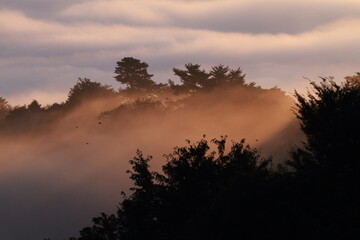 朝日に染まる雲海