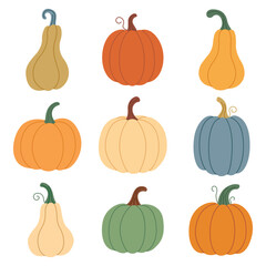 A set of pumpkins in different colours. Cute pumpkins drawn by hand. A cosy autumn set. Vector illustration