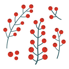 Bunch of red berries, hand-drawn.  Cosy autumn set. Vector illustration