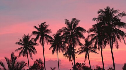 Coconut Pastel. Beautiful Silhouettes of Palm Trees at Stunning Sunset
