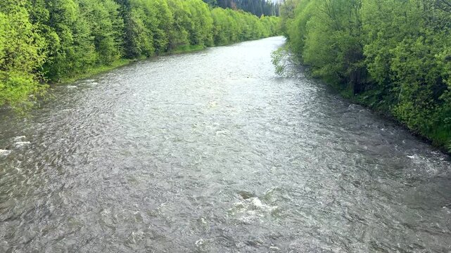 mountain river, a strong rapid current in the middle of a mountainous flatter area, rainy weather, underwater stones, fresh water, a stream of water, a shallow reservoir
