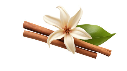 Creamy white flower, cinnamon sticks, and green leaf, isolated on transparent background