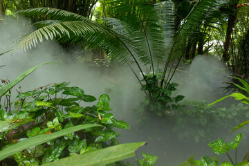 Travel through the thickets of Yanoda Park, Hainan