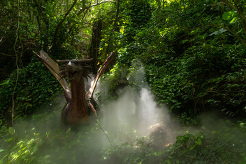 Travel through the thickets of Yanoda Park, Hainan