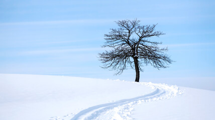 Minimalist winter landscape photograph featuring a solitary, leafless tree on a snow-blanketed hill under a pale, overcast sky