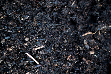 Burnt Soil Texture After Wildfire